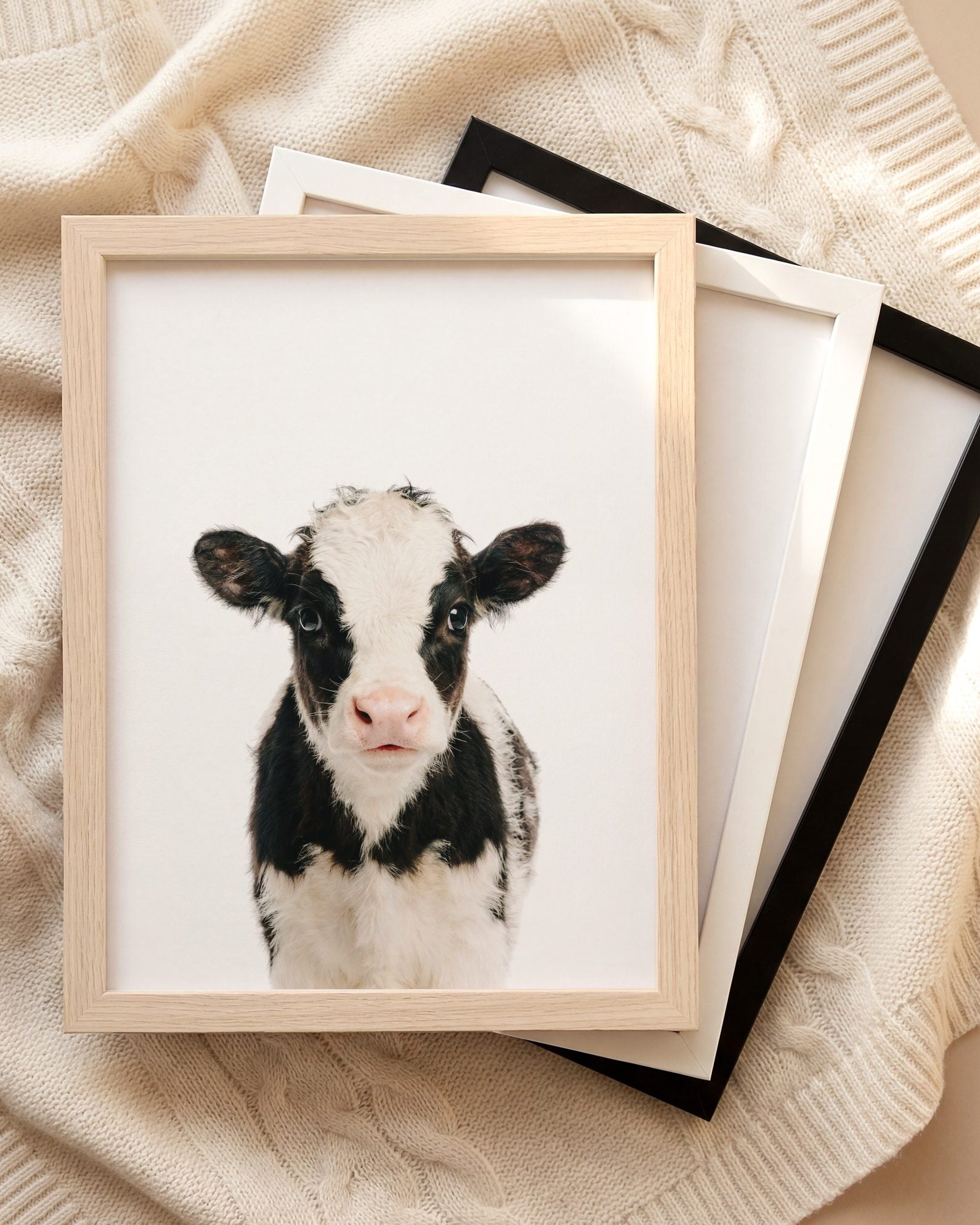 The Baby Animals 2026 Collection