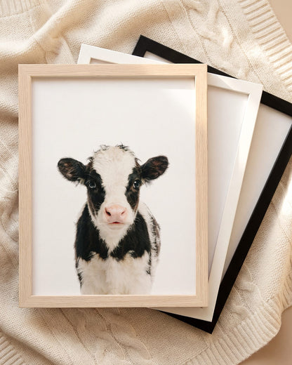 The Baby Animals 2026 Collection