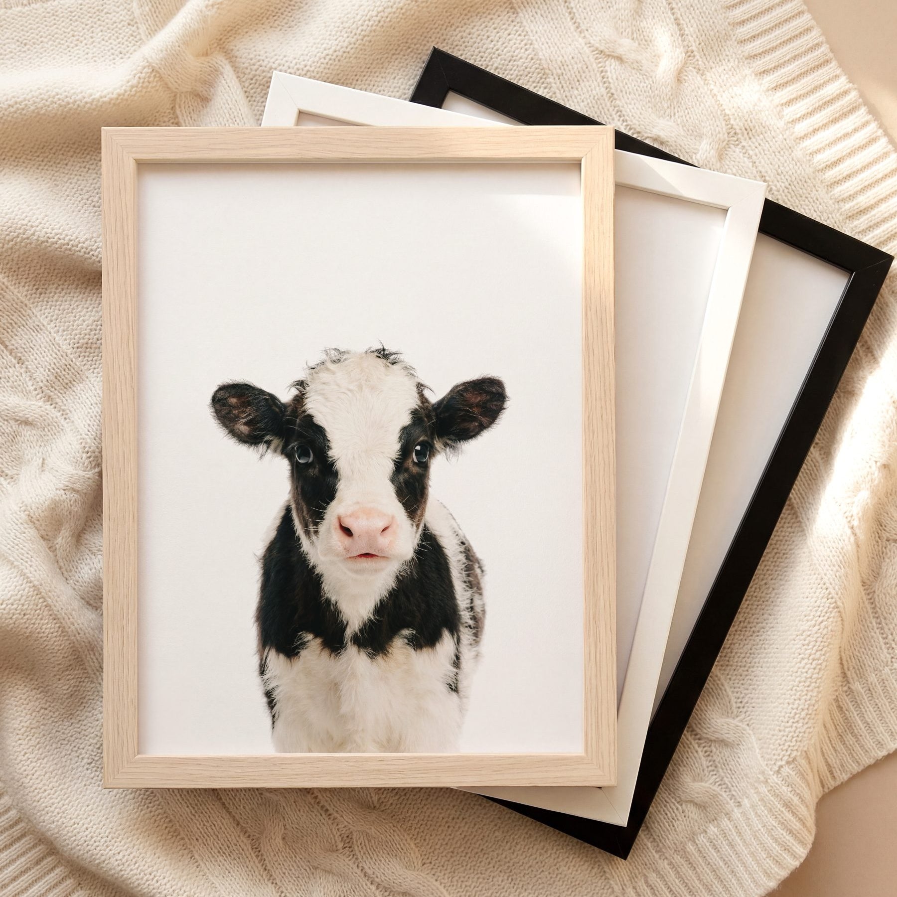 The Baby Animals 2026 Collection