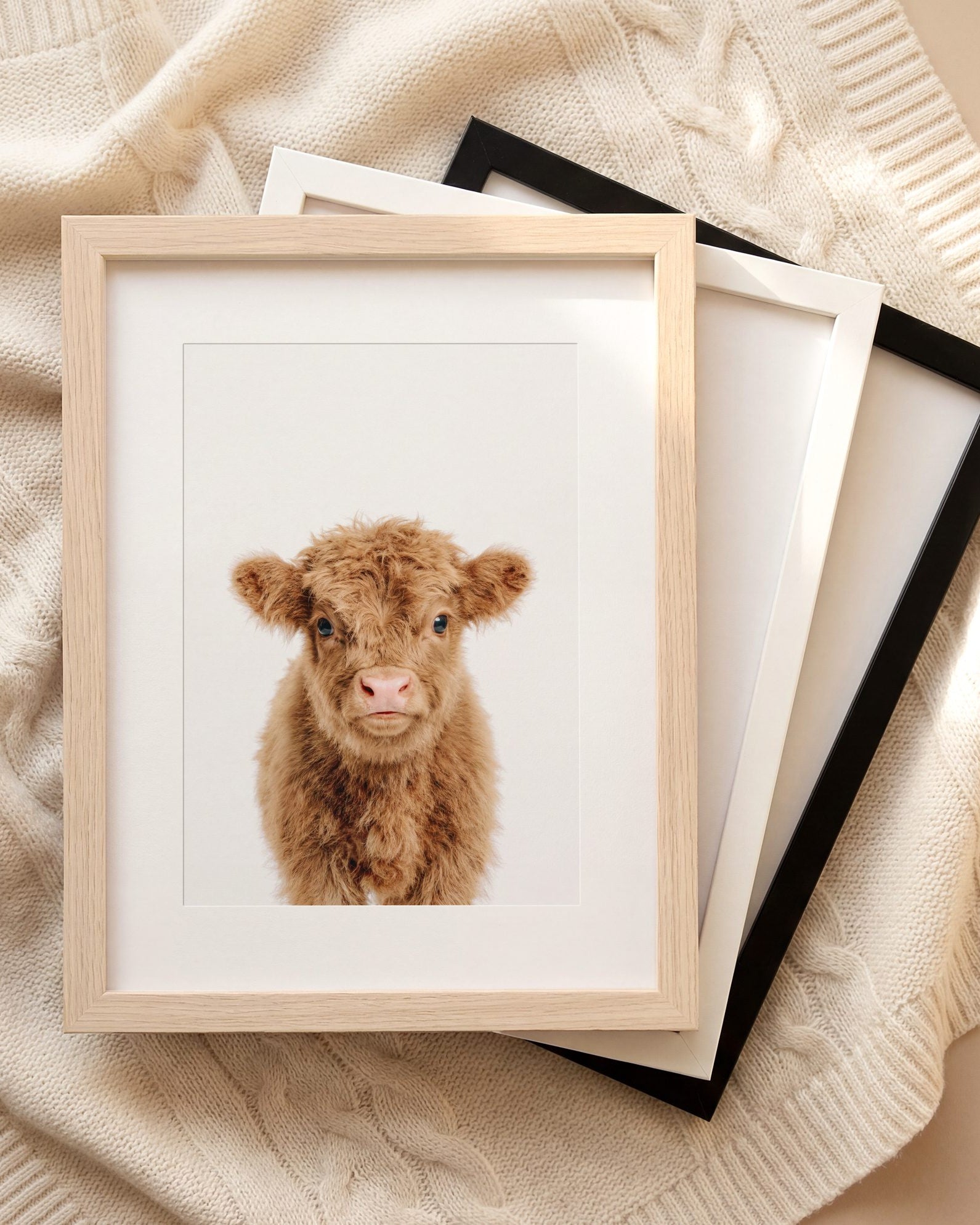 The Baby Animals 2026 Collection