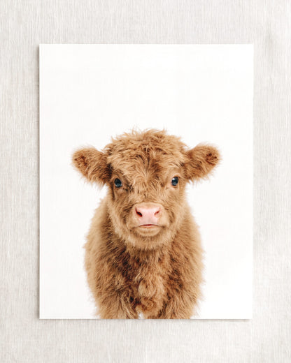 The Baby Animals 2026 Collection