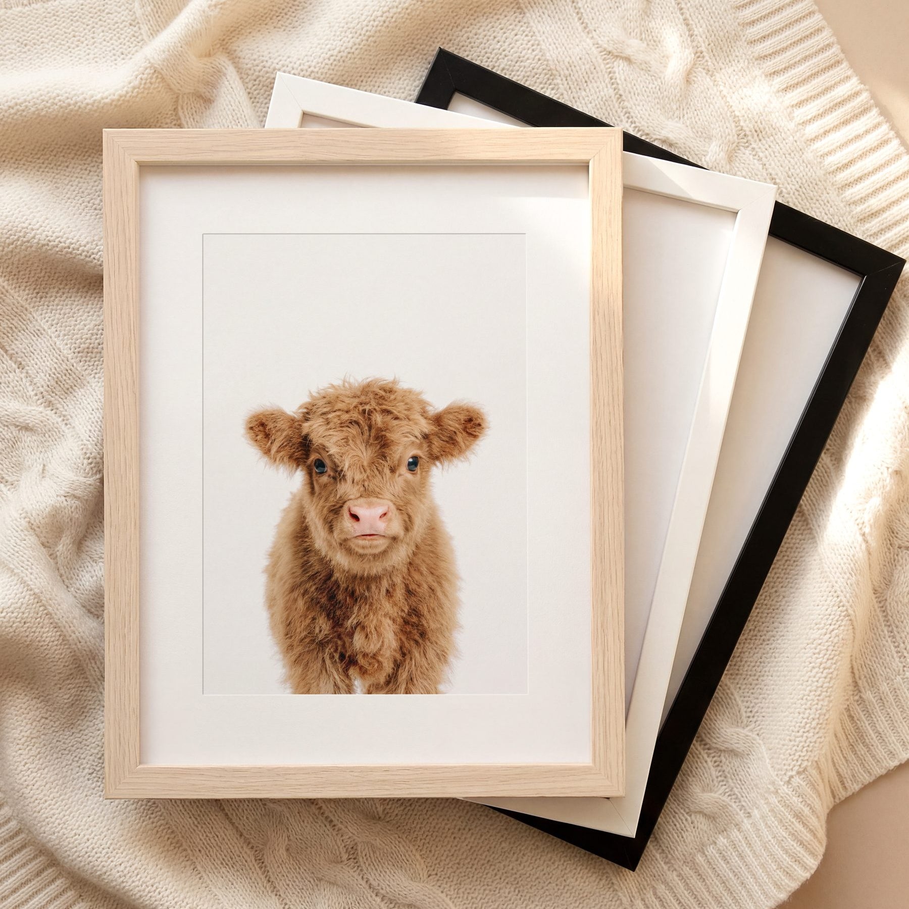 The Baby Animals 2026 Collection