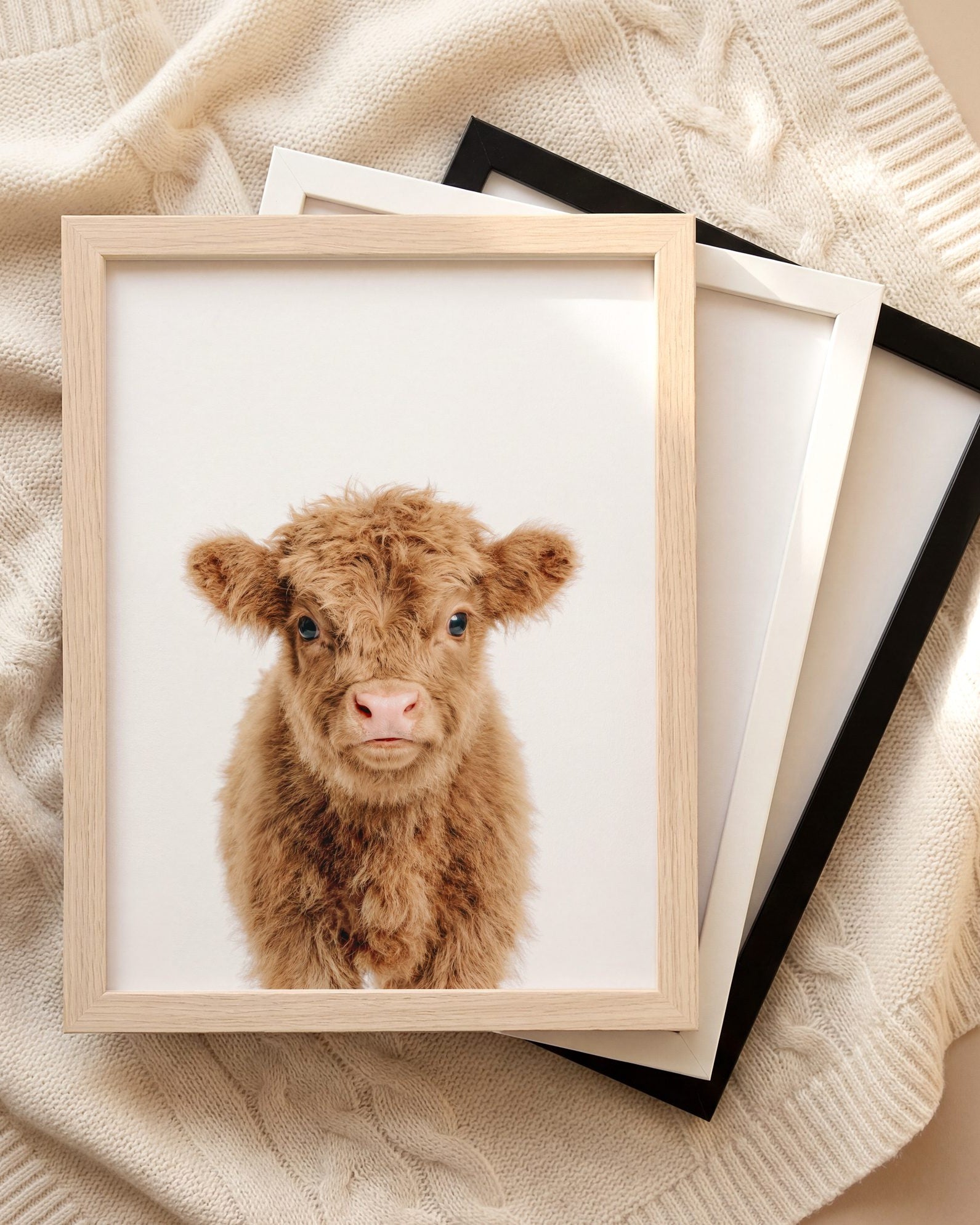The Baby Animals 2026 Collection