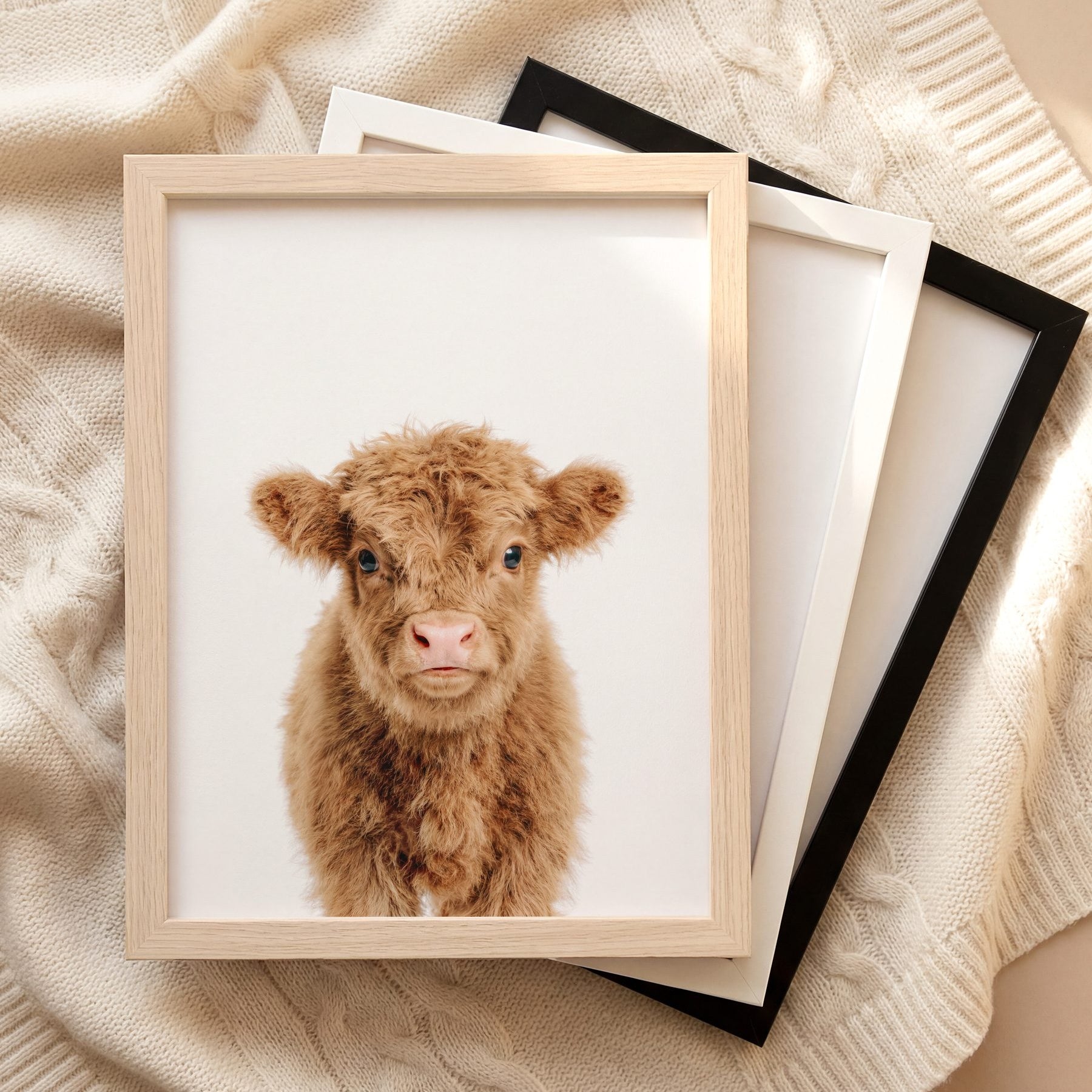 The Baby Animals 2026 Collection