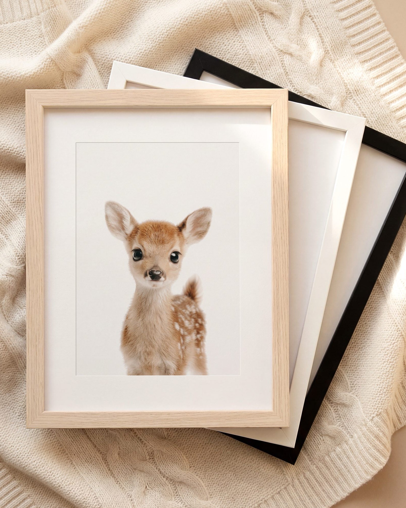 The Baby Animals 2026 Collection
