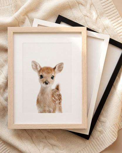 The Baby Animals 2026 Collection