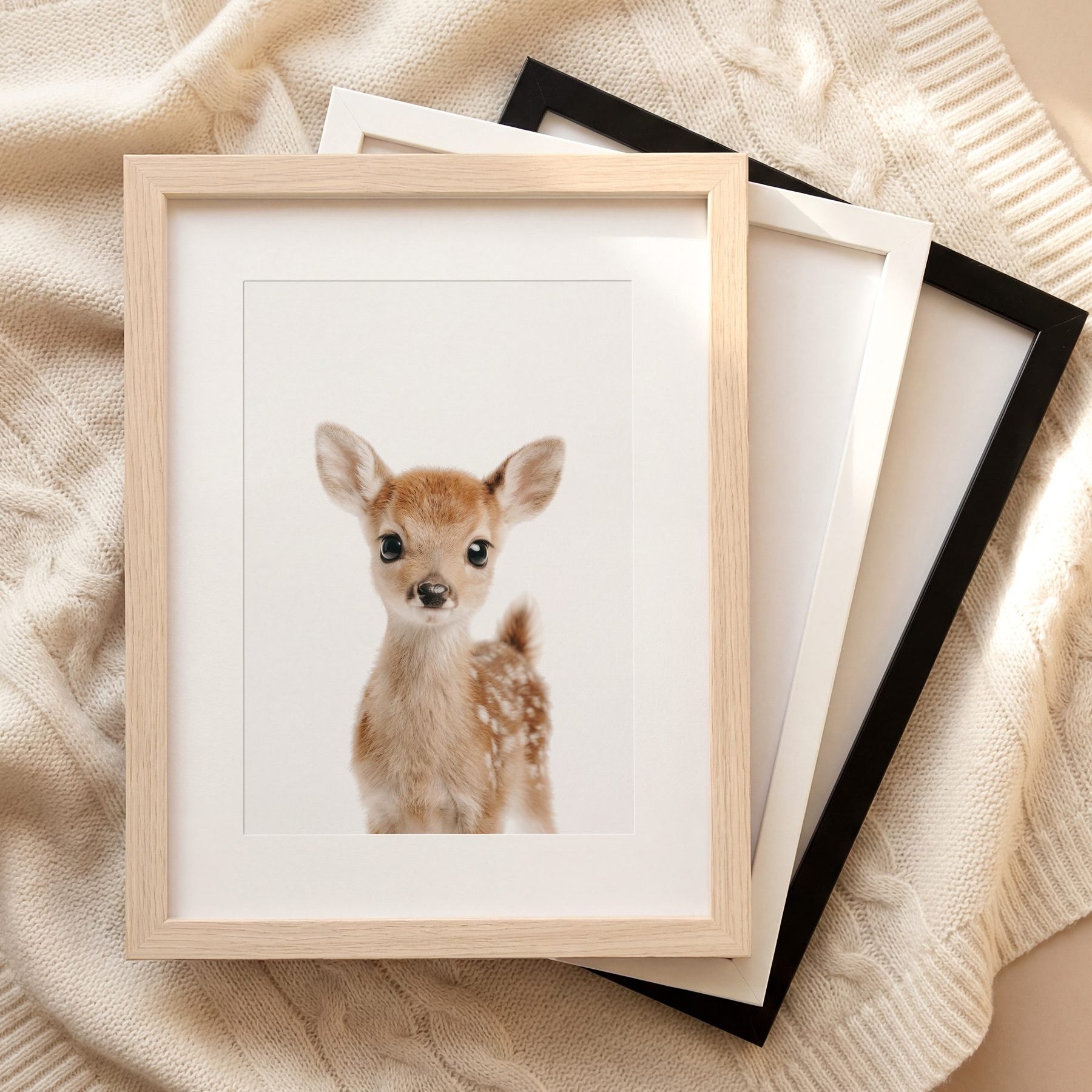 The Baby Animals 2026 Collection