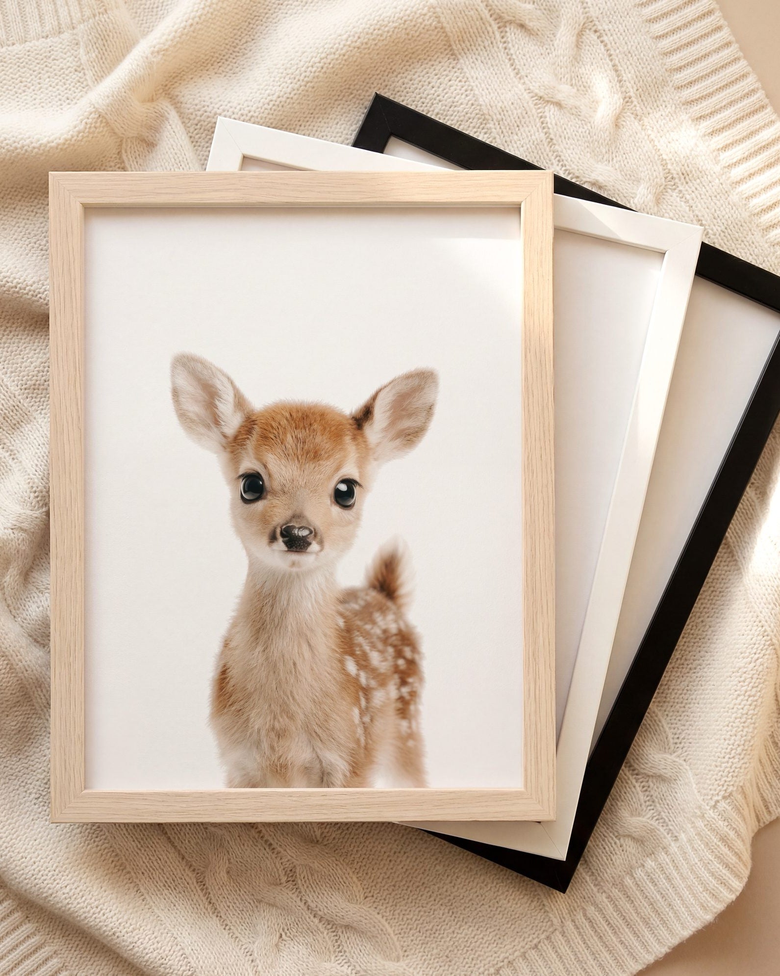 The Baby Animals 2026 Collection