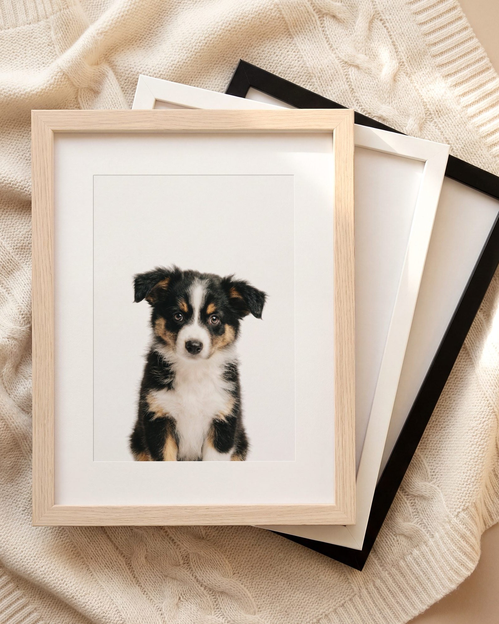 The Baby Animals 2026 Collection