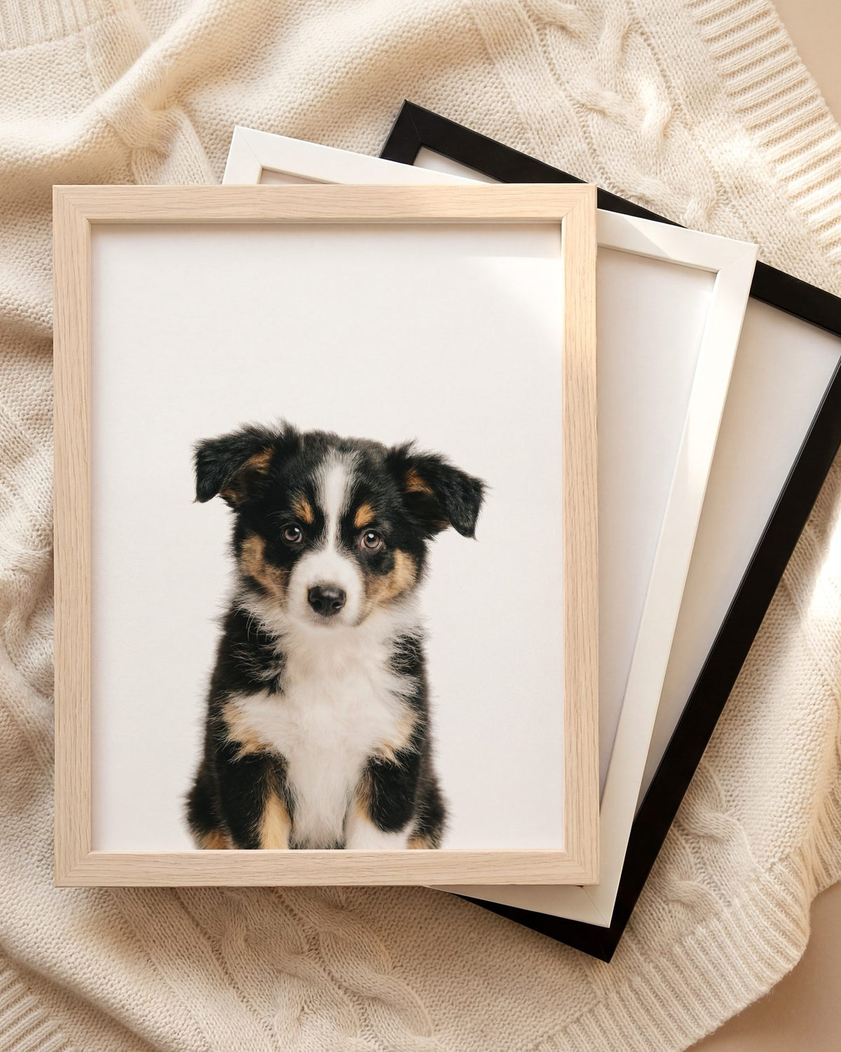 The Baby Animals 2026 Collection