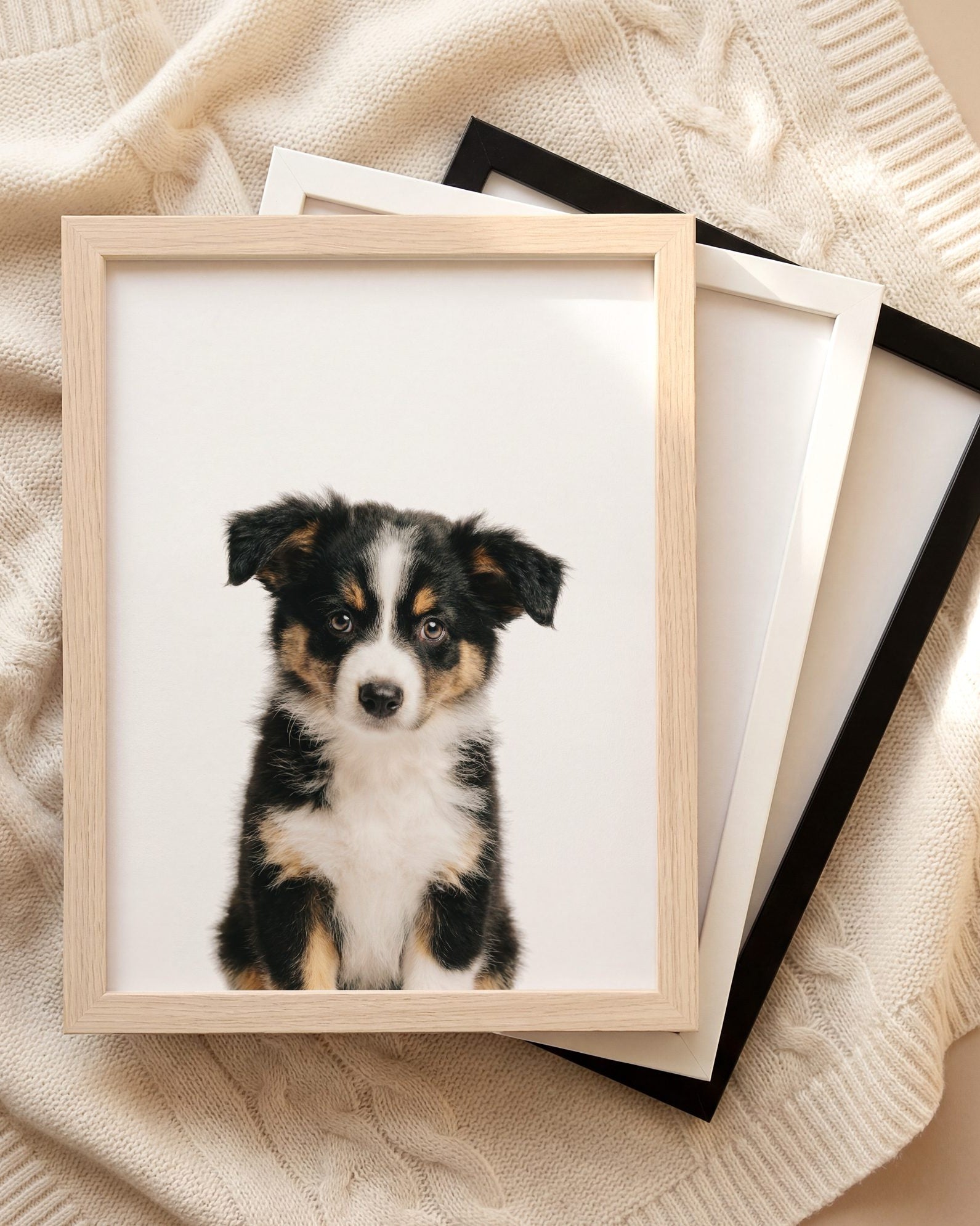 The Baby Animals 2026 Collection