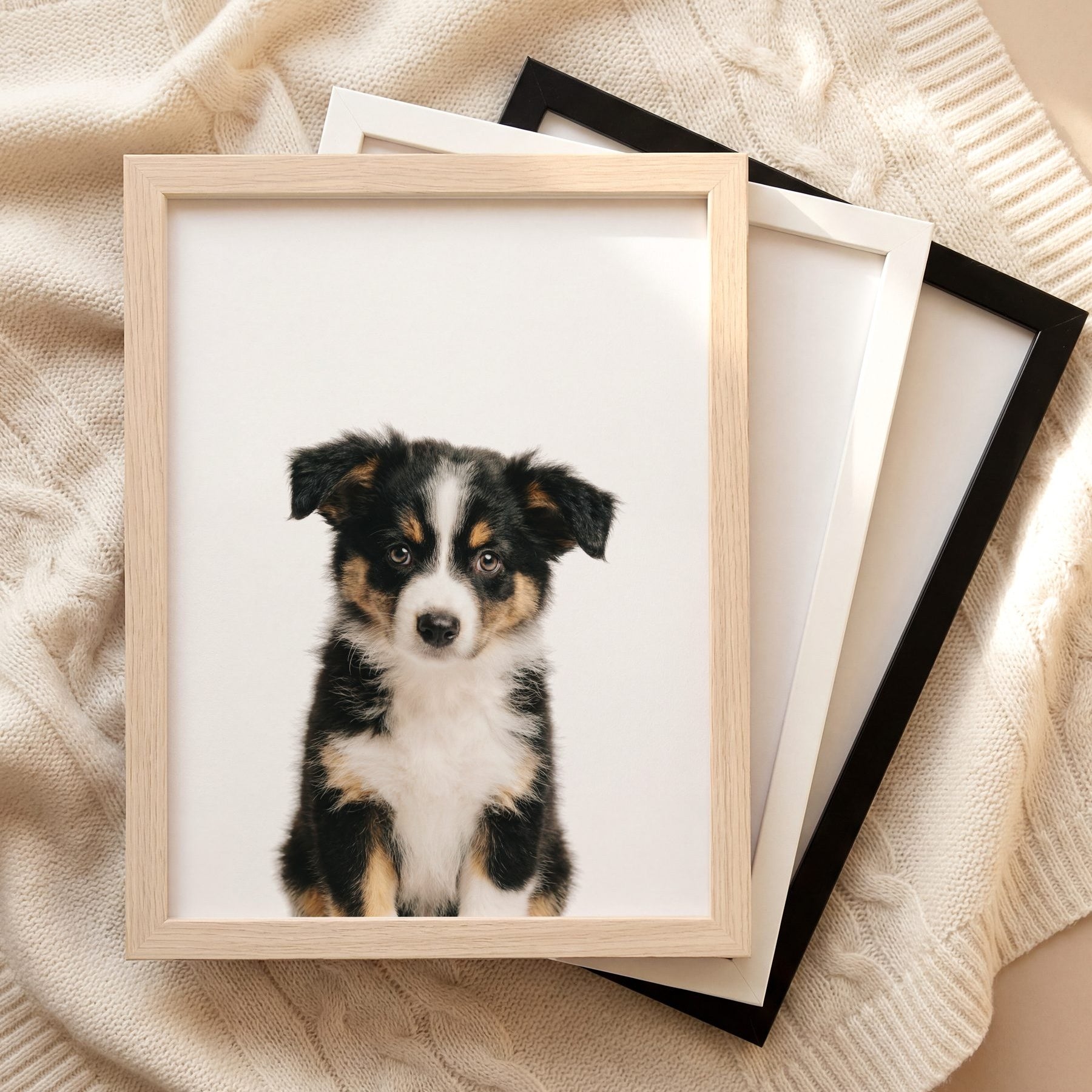 The Baby Animals 2026 Collection