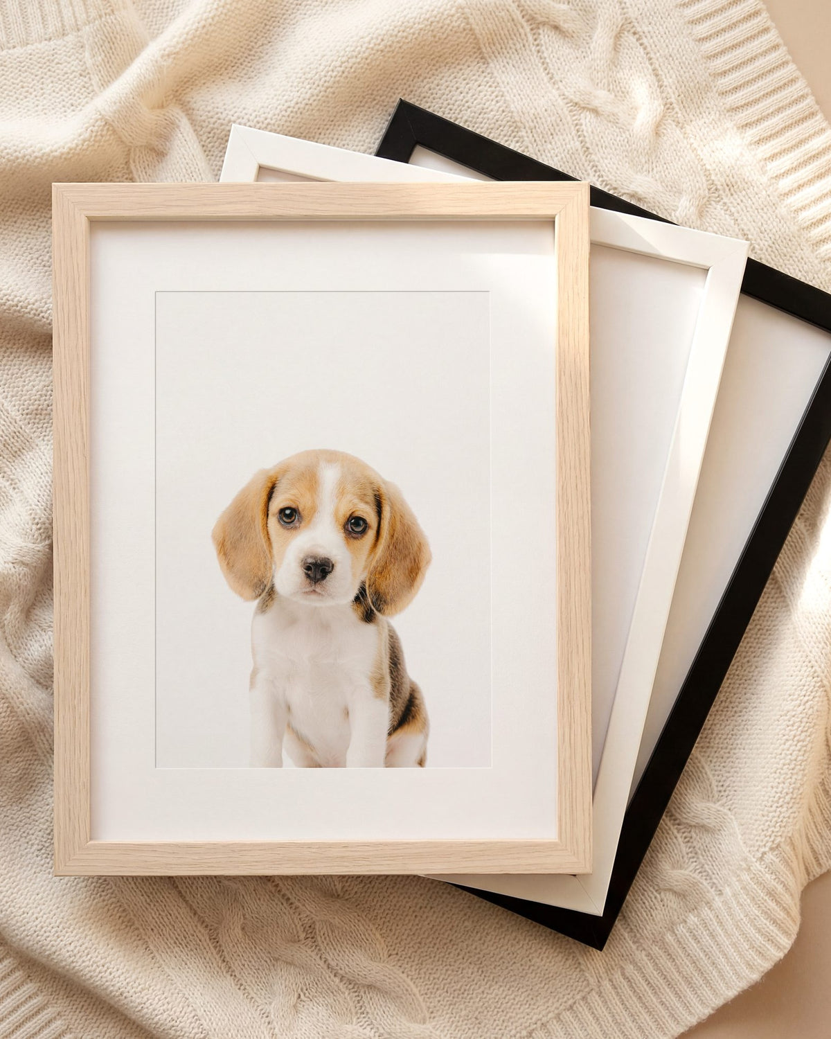 The Baby Animals 2026 Collection