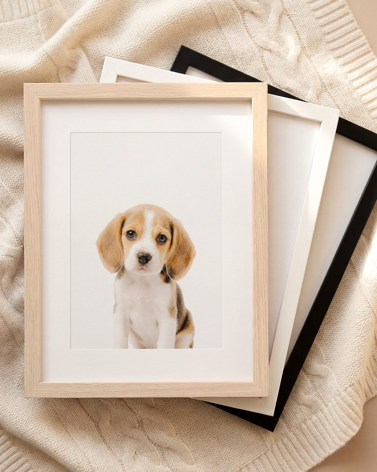 The Baby Animals 2026 Collection