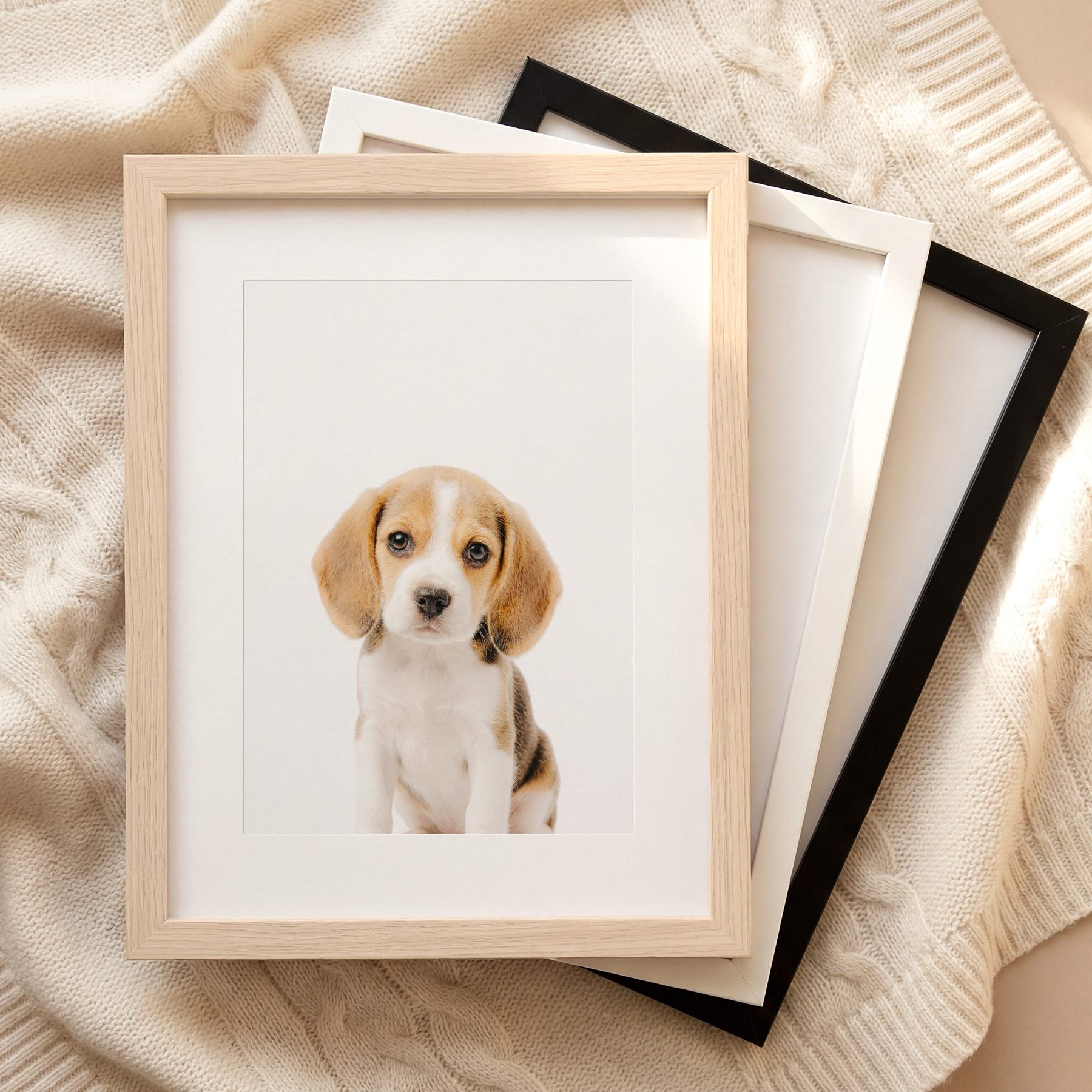 The Baby Animals 2026 Collection