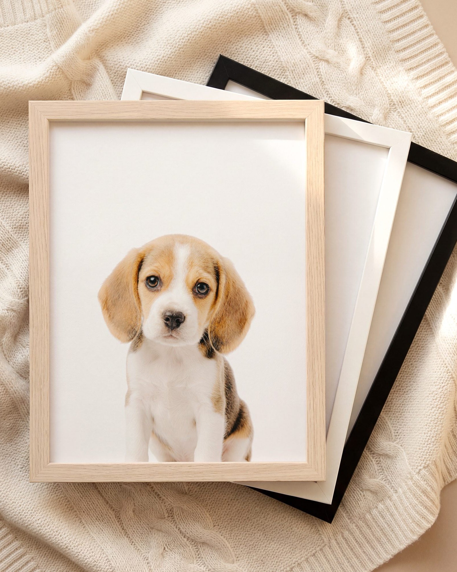 The Baby Animals 2026 Collection