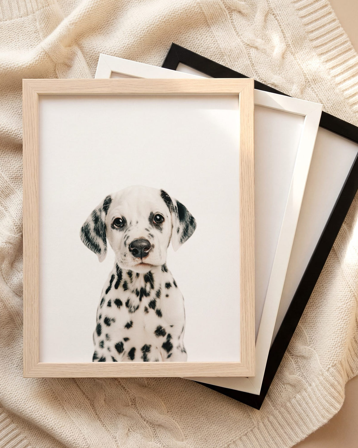 The Baby Animals 2026 Collection