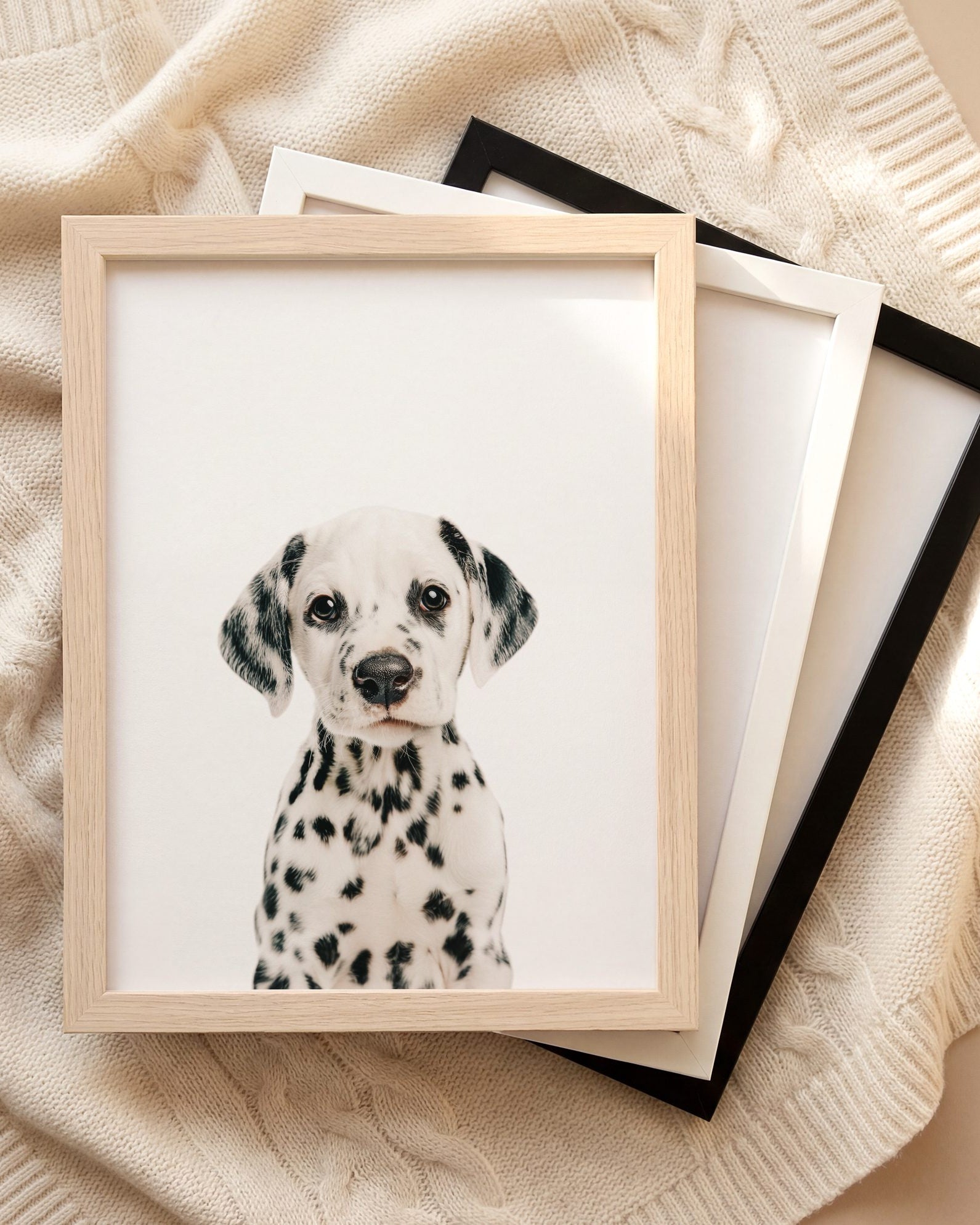 The Baby Animals 2026 Collection