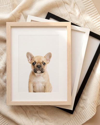 The Baby Animals 2026 Collection