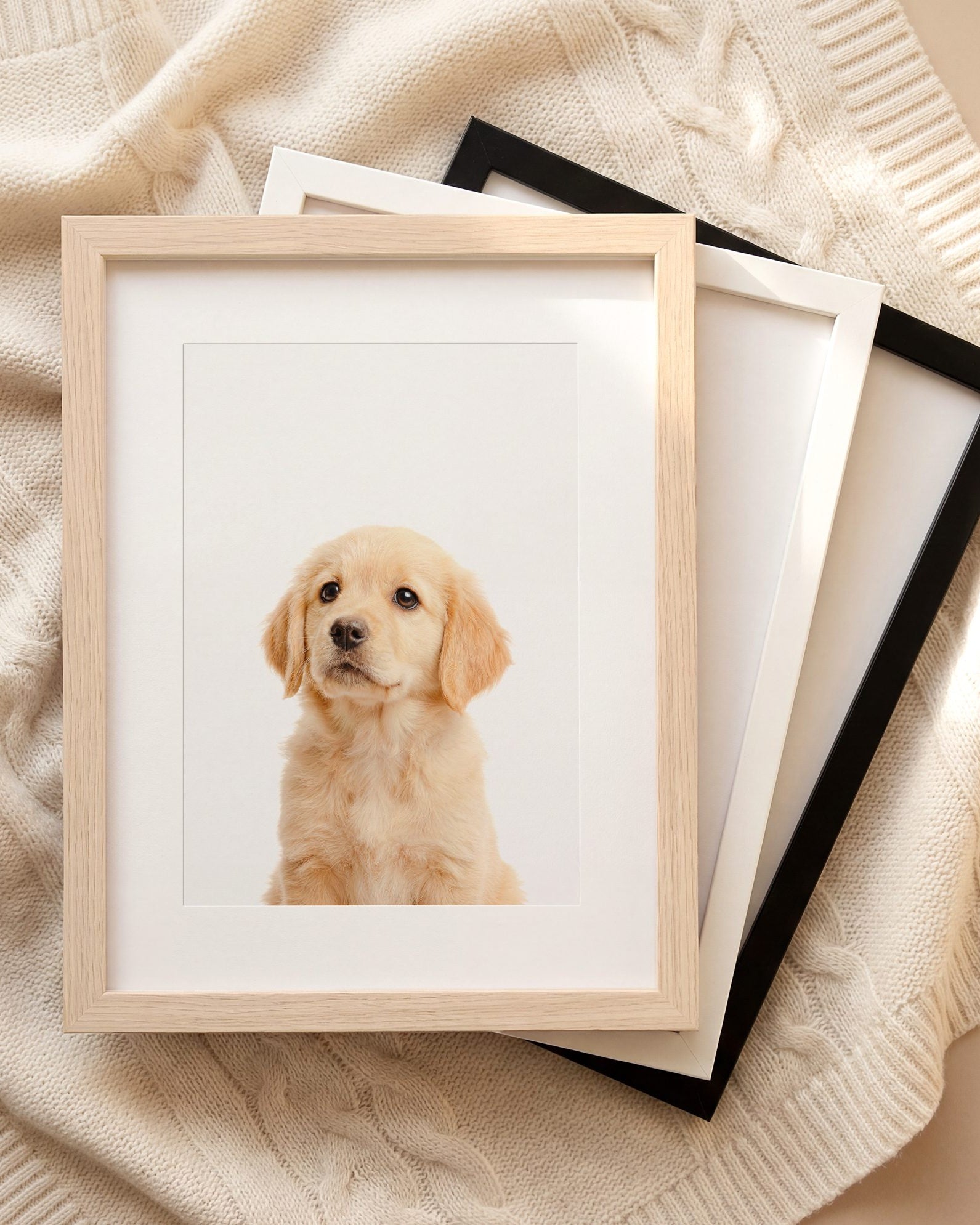 The Baby Animals 2026 Collection