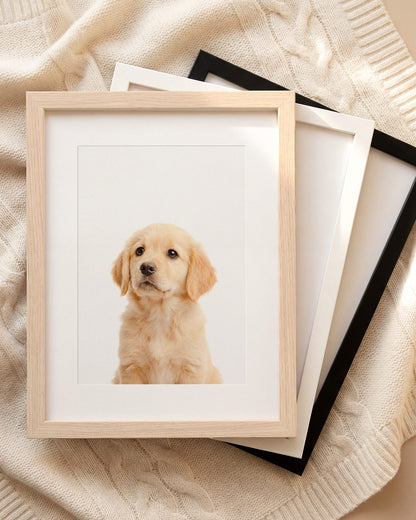 The Baby Animals 2026 Collection