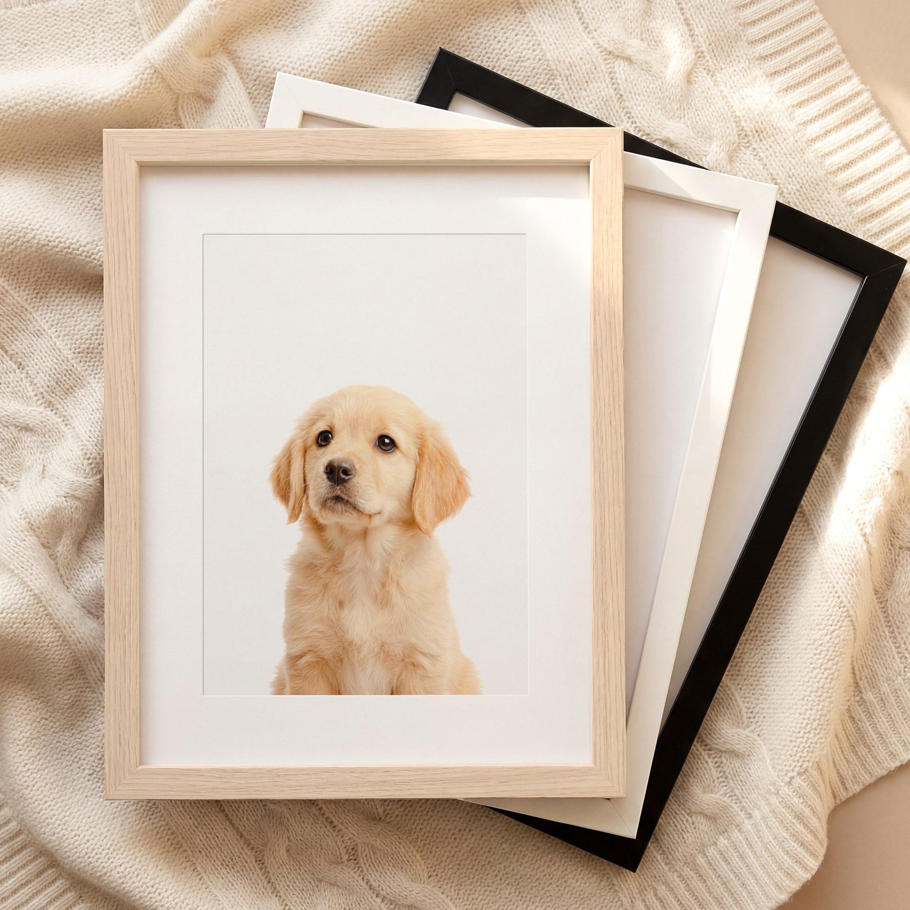 The Baby Animals 2026 Collection