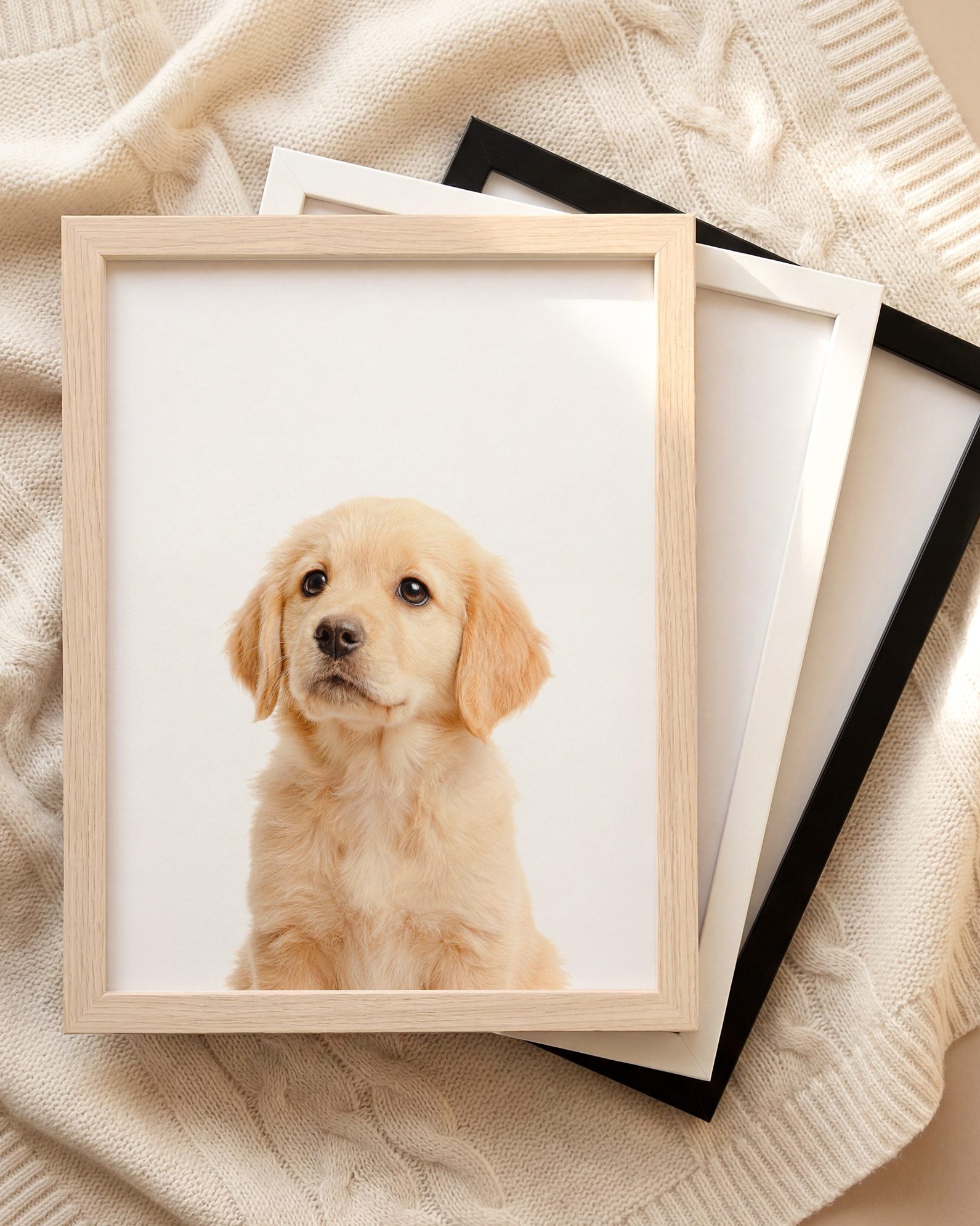 The Baby Animals 2026 Collection