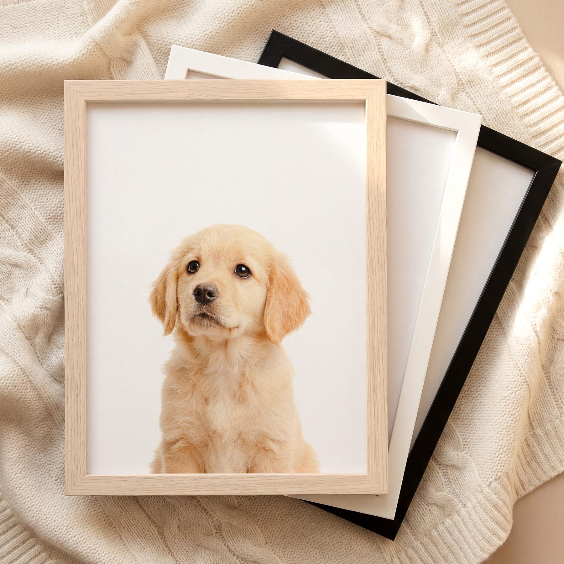 The Baby Animals 2026 Collection
