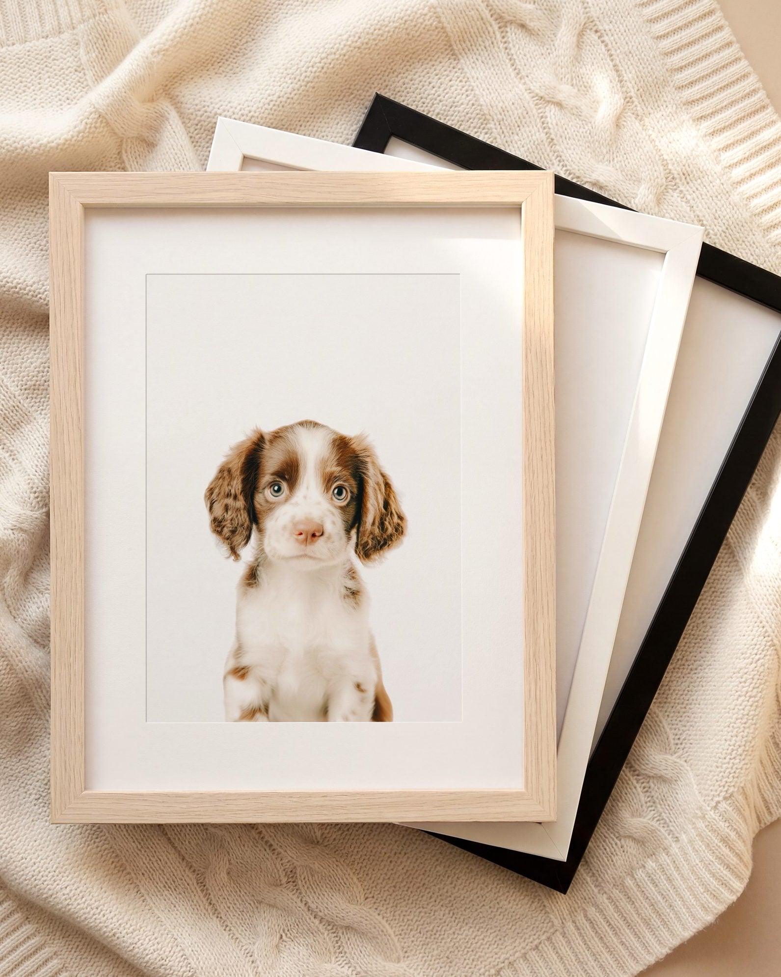 The Baby Animals 2026 Collection