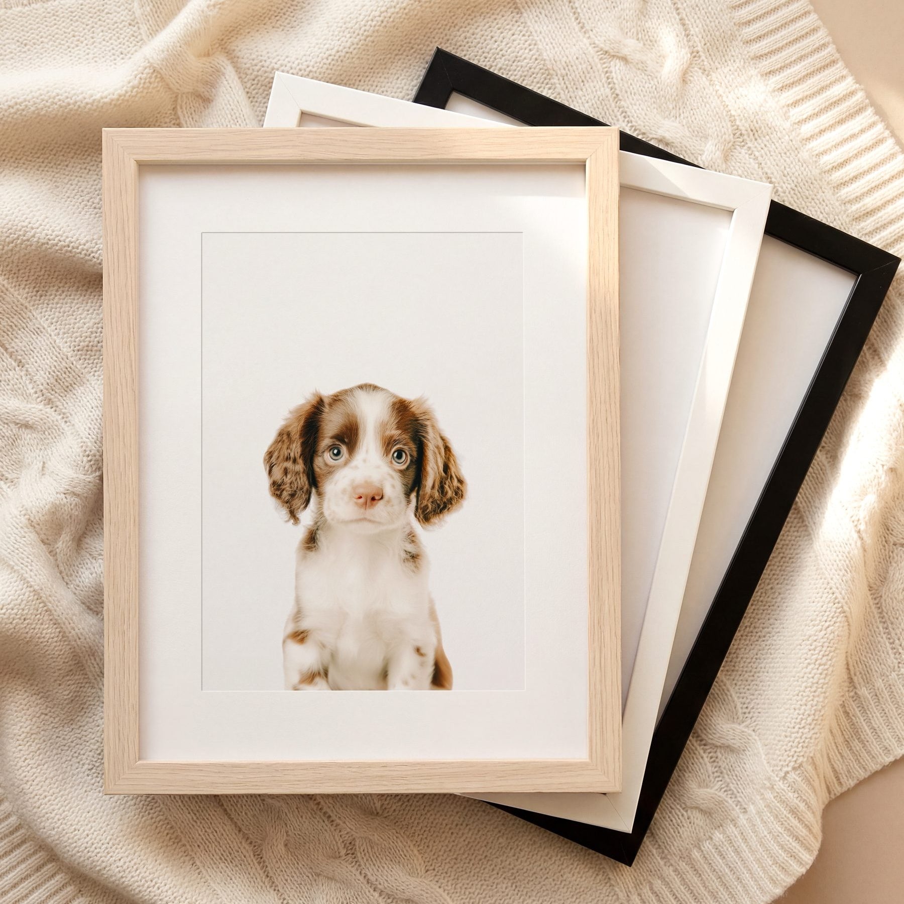 The Baby Animals 2026 Collection