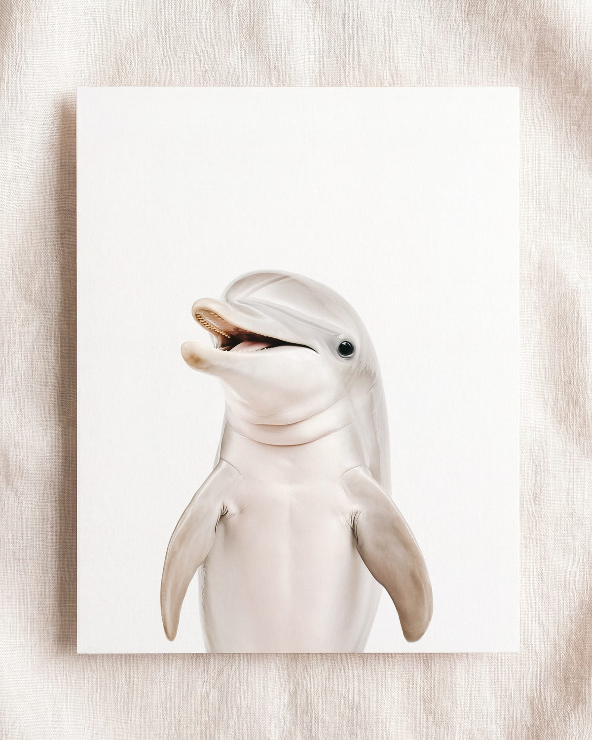 The Baby Animals 2026 Collection