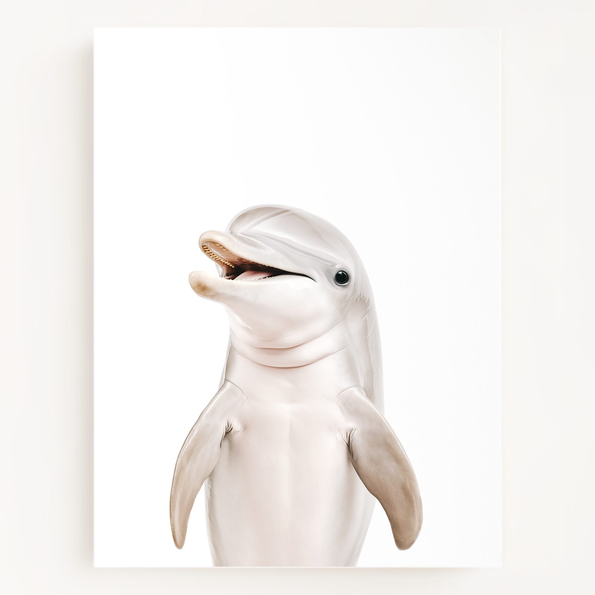 The Baby Animals 2026 Collection