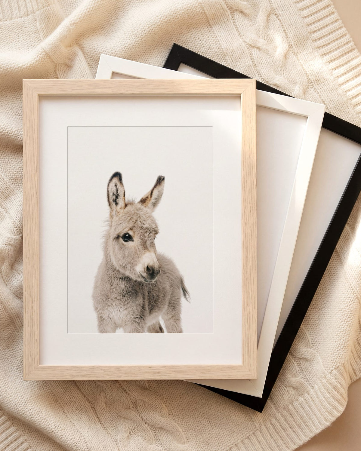 The Baby Animals 2026 Collection