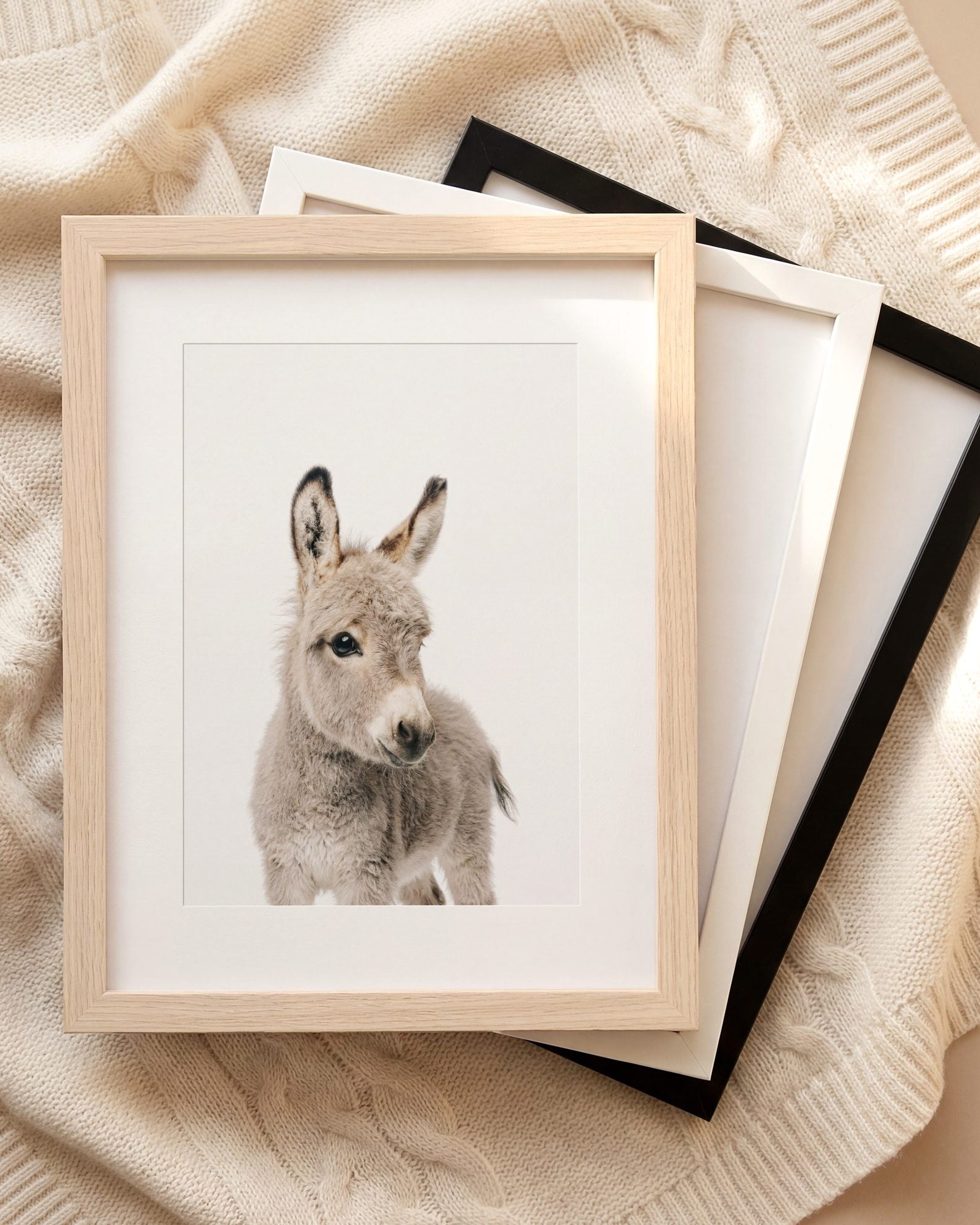 The Baby Animals 2026 Collection