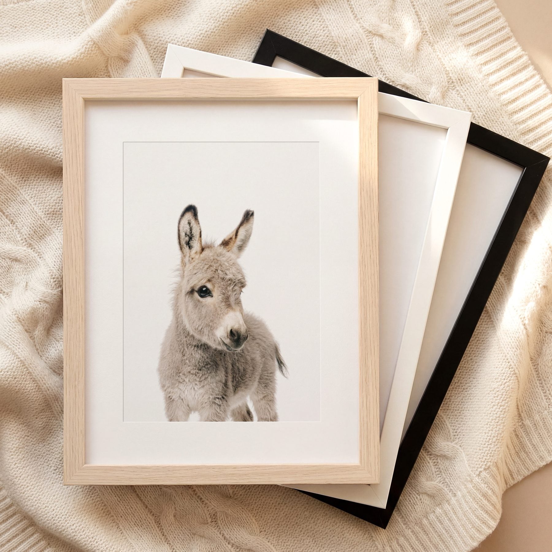 The Baby Animals 2026 Collection