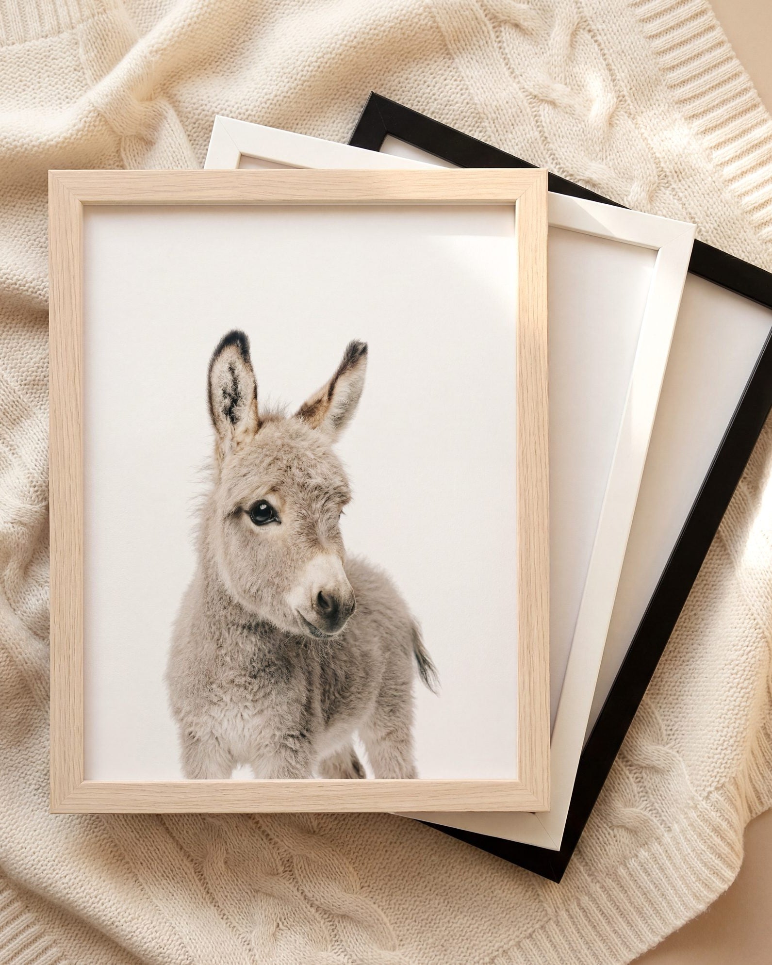 The Baby Animals 2026 Collection