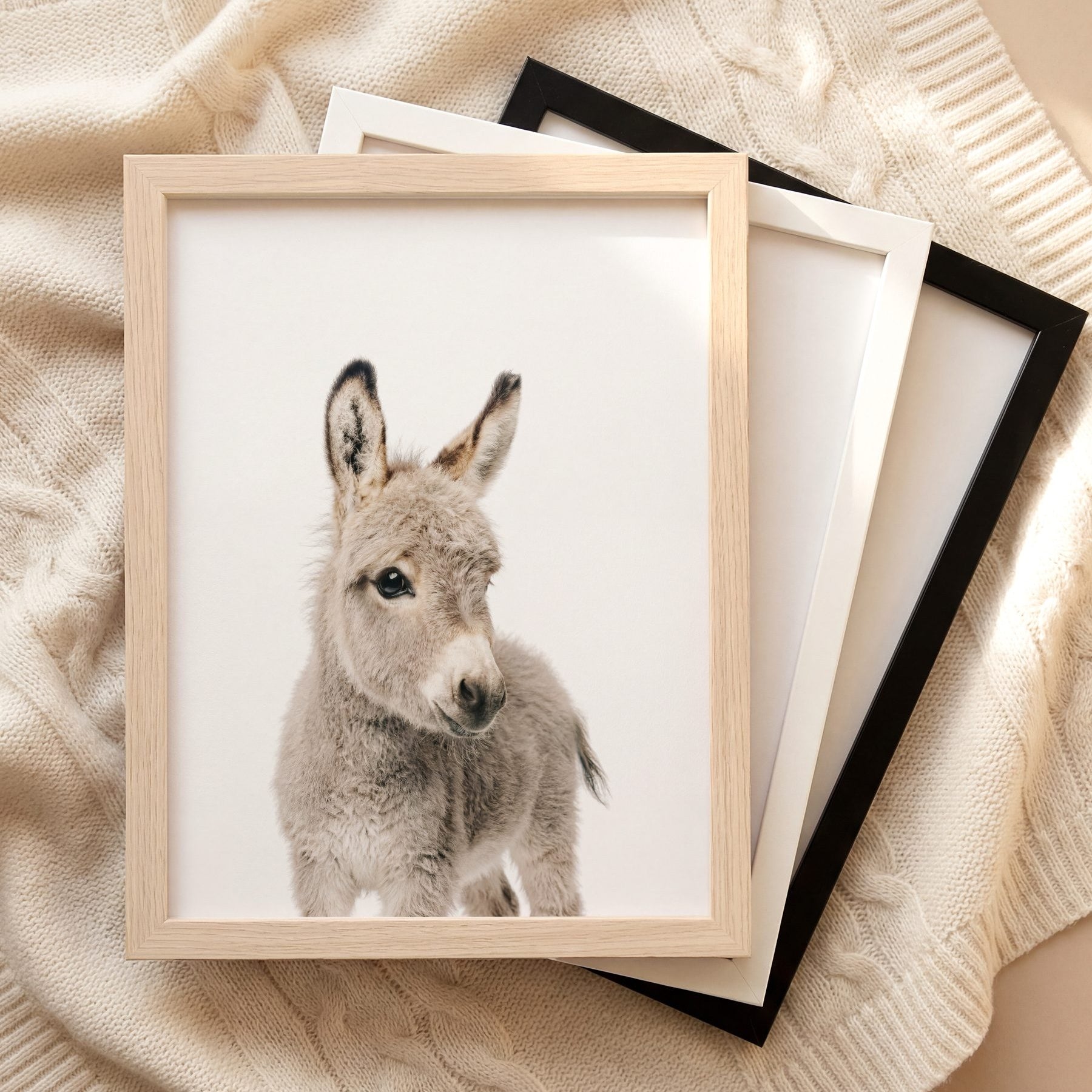The Baby Animals 2026 Collection