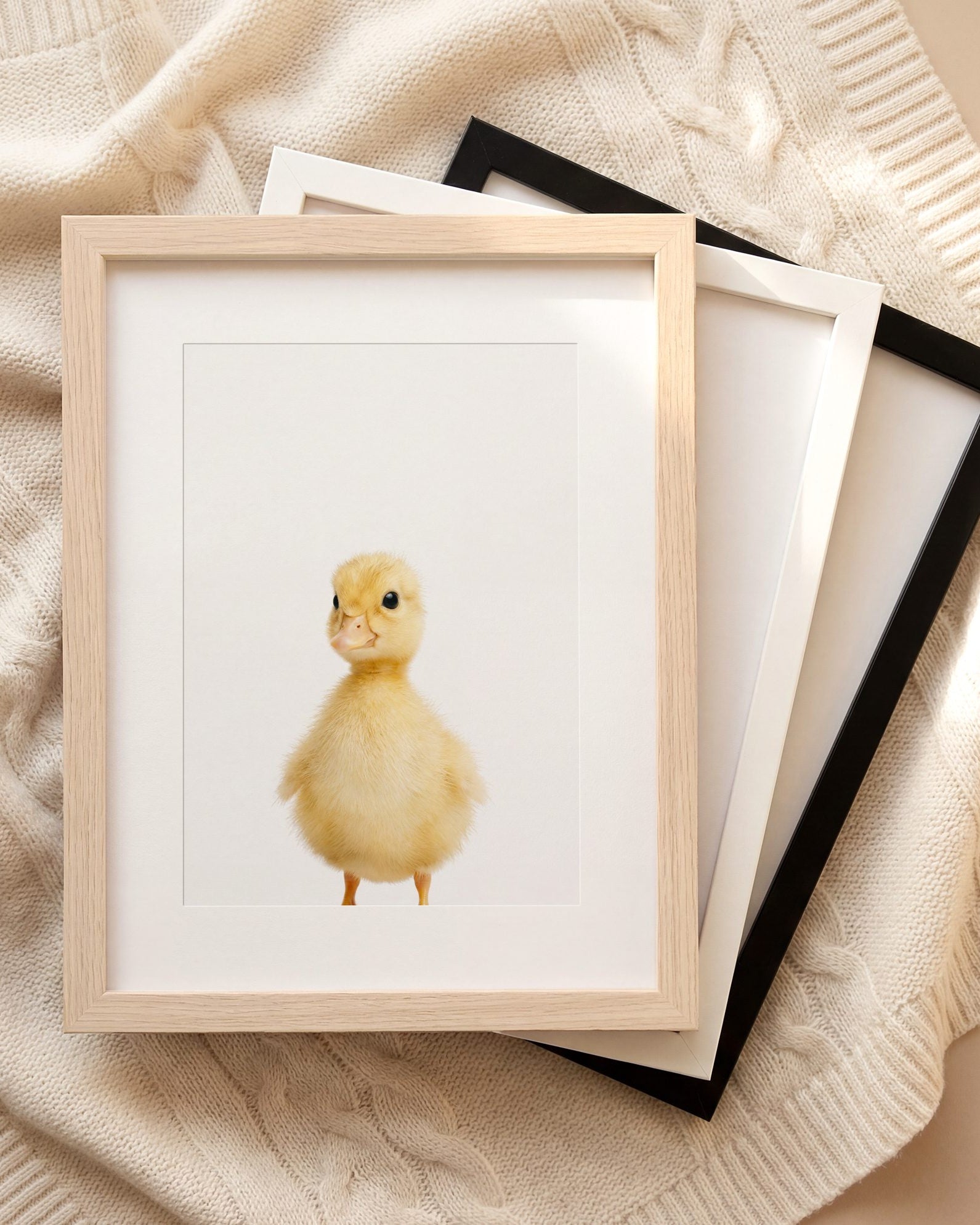The Baby Animals 2026 Collection