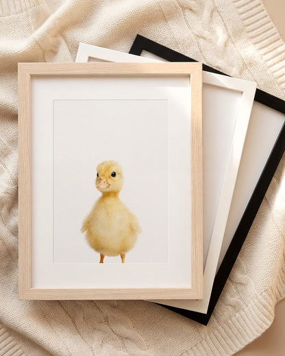 The Baby Animals 2026 Collection