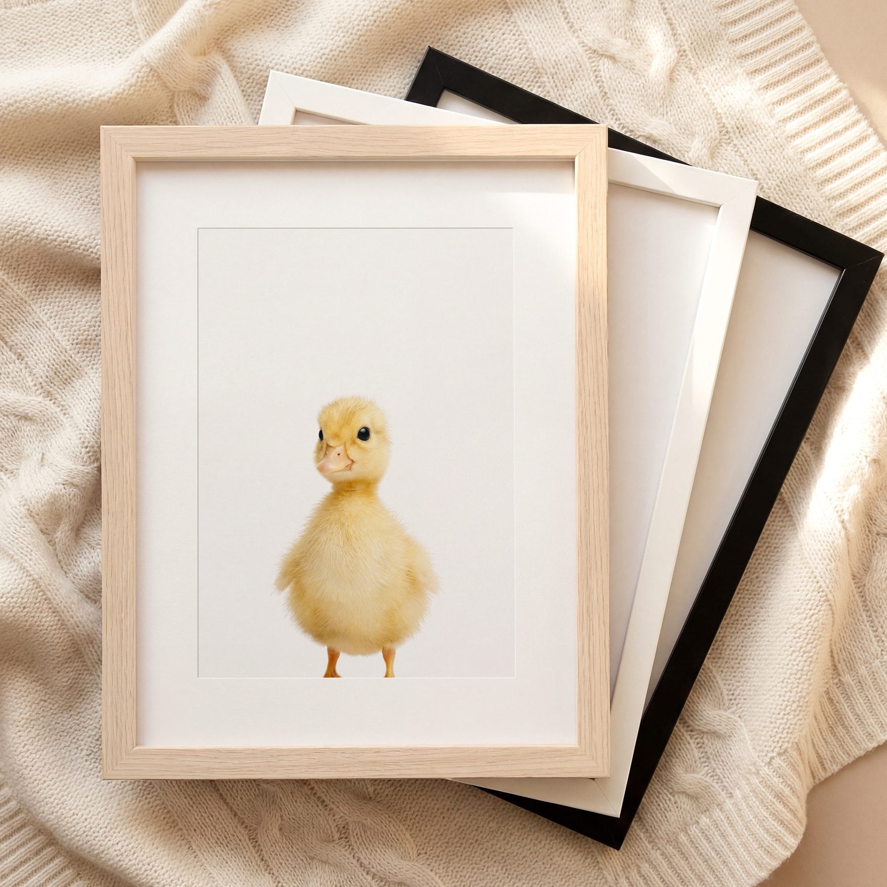 The Baby Animals 2026 Collection