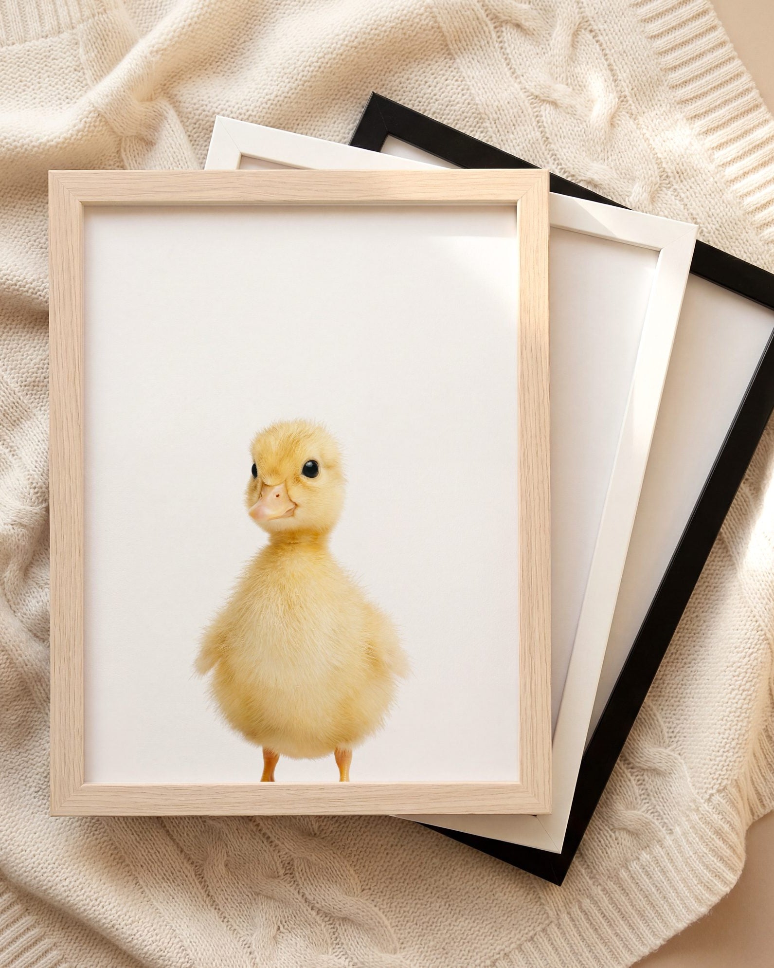 The Baby Animals 2026 Collection