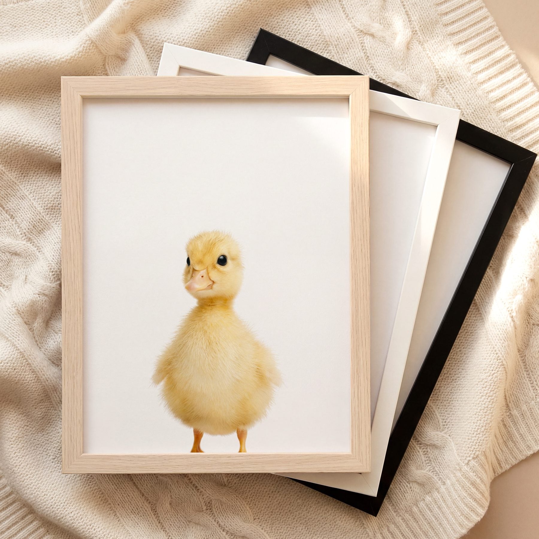 The Baby Animals 2026 Collection