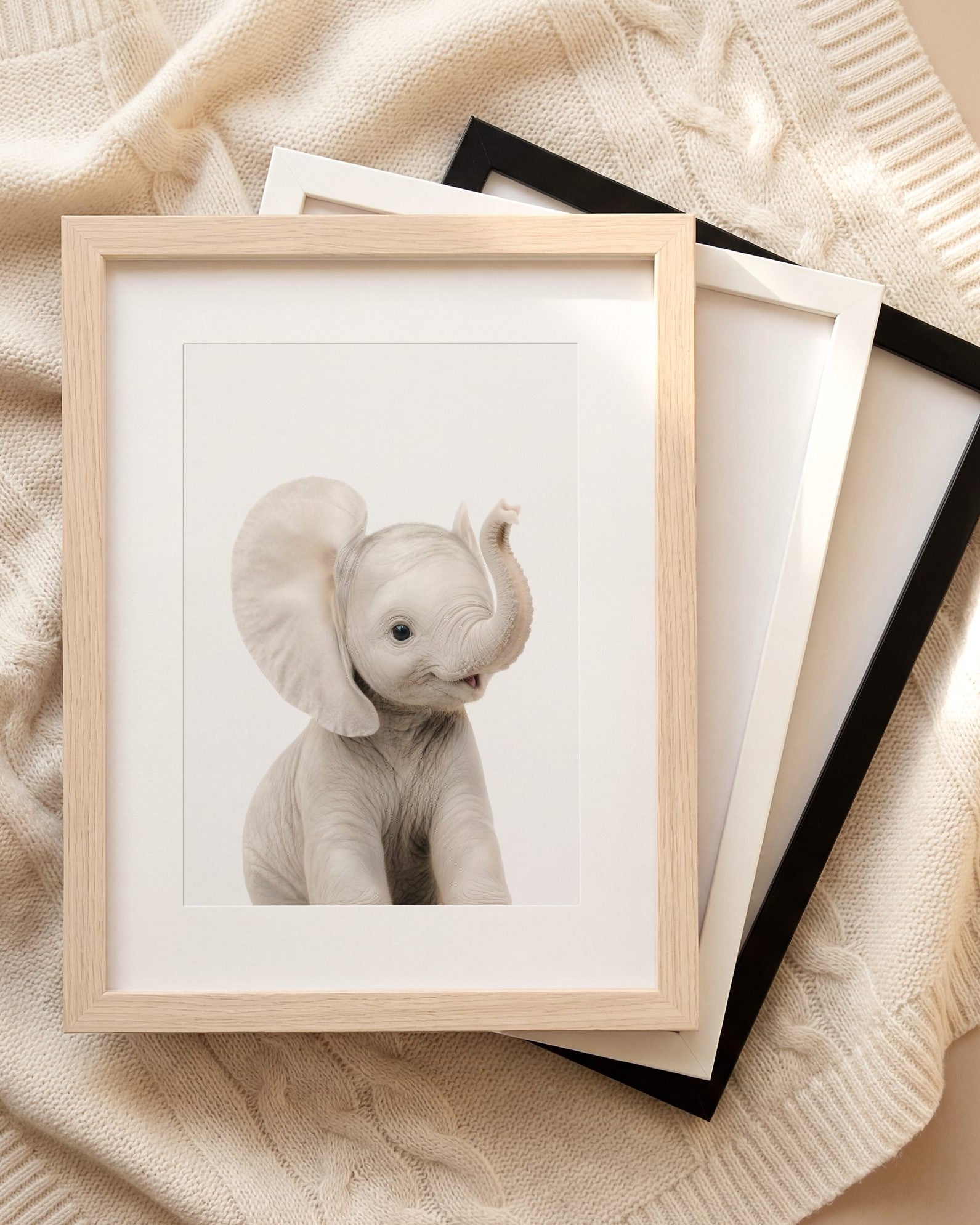 The Baby Animals 2026 Collection