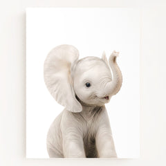 The Baby Animals 2026 Collection