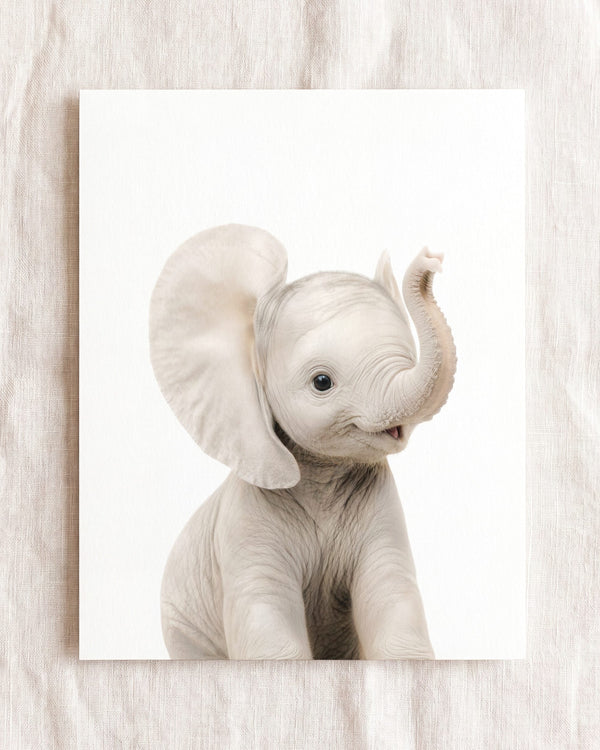 The Baby Animals 2026 Collection