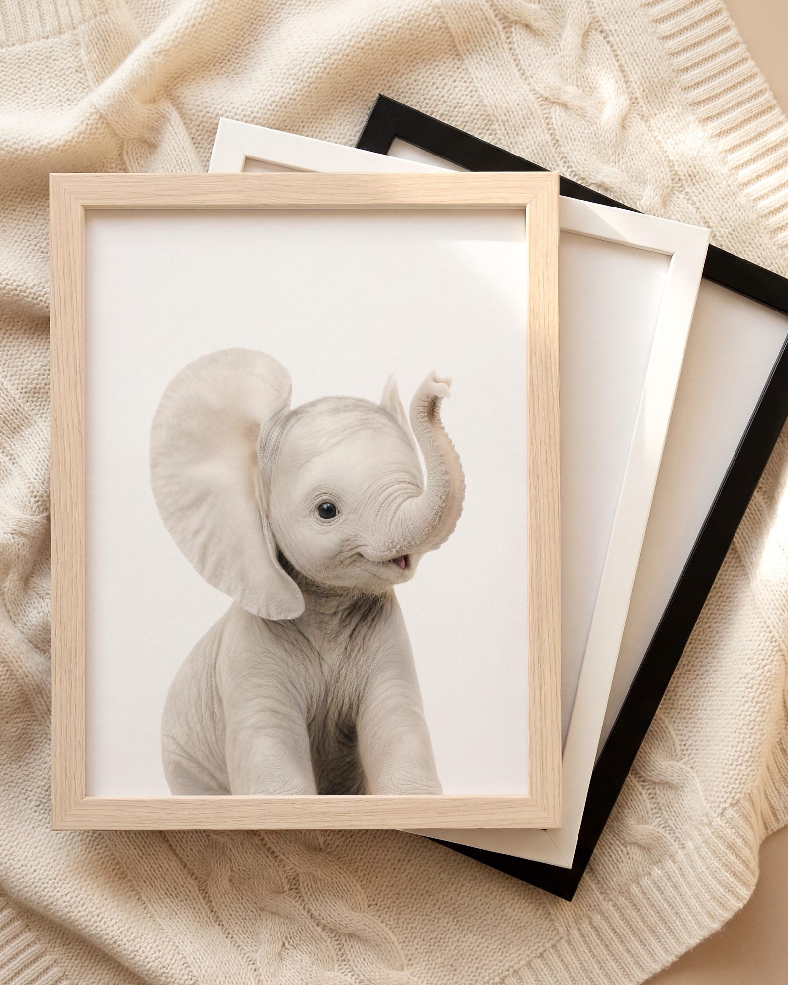 The Baby Animals 2026 Collection