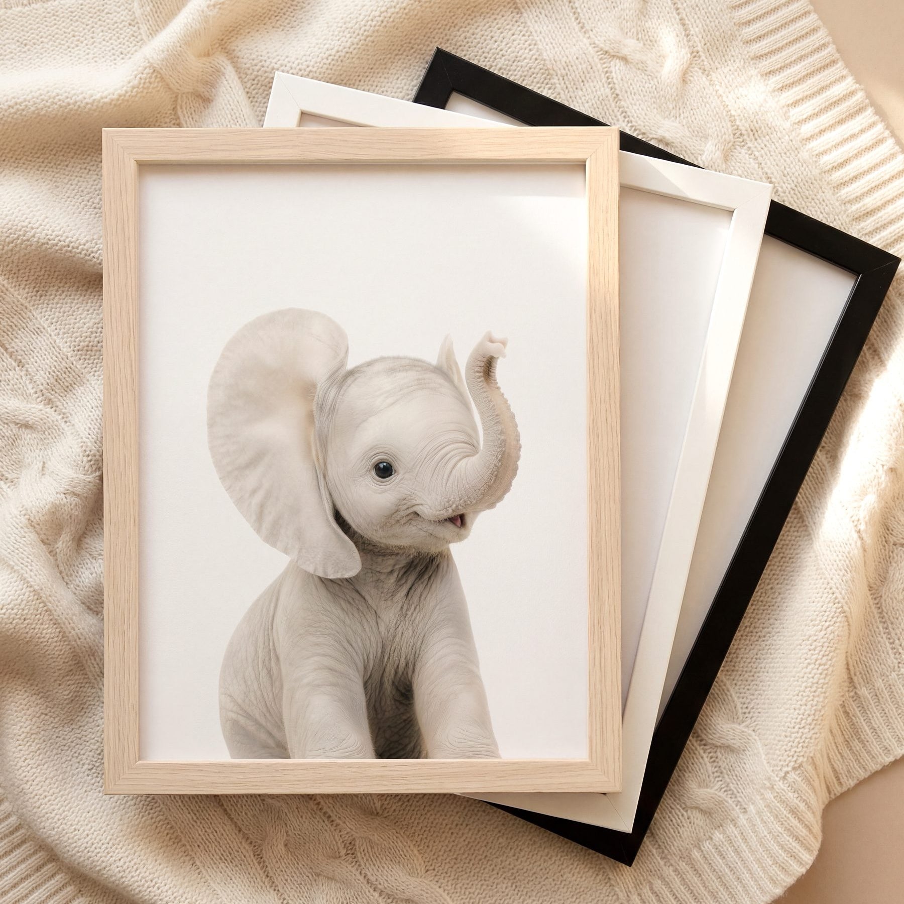 The Baby Animals 2026 Collection