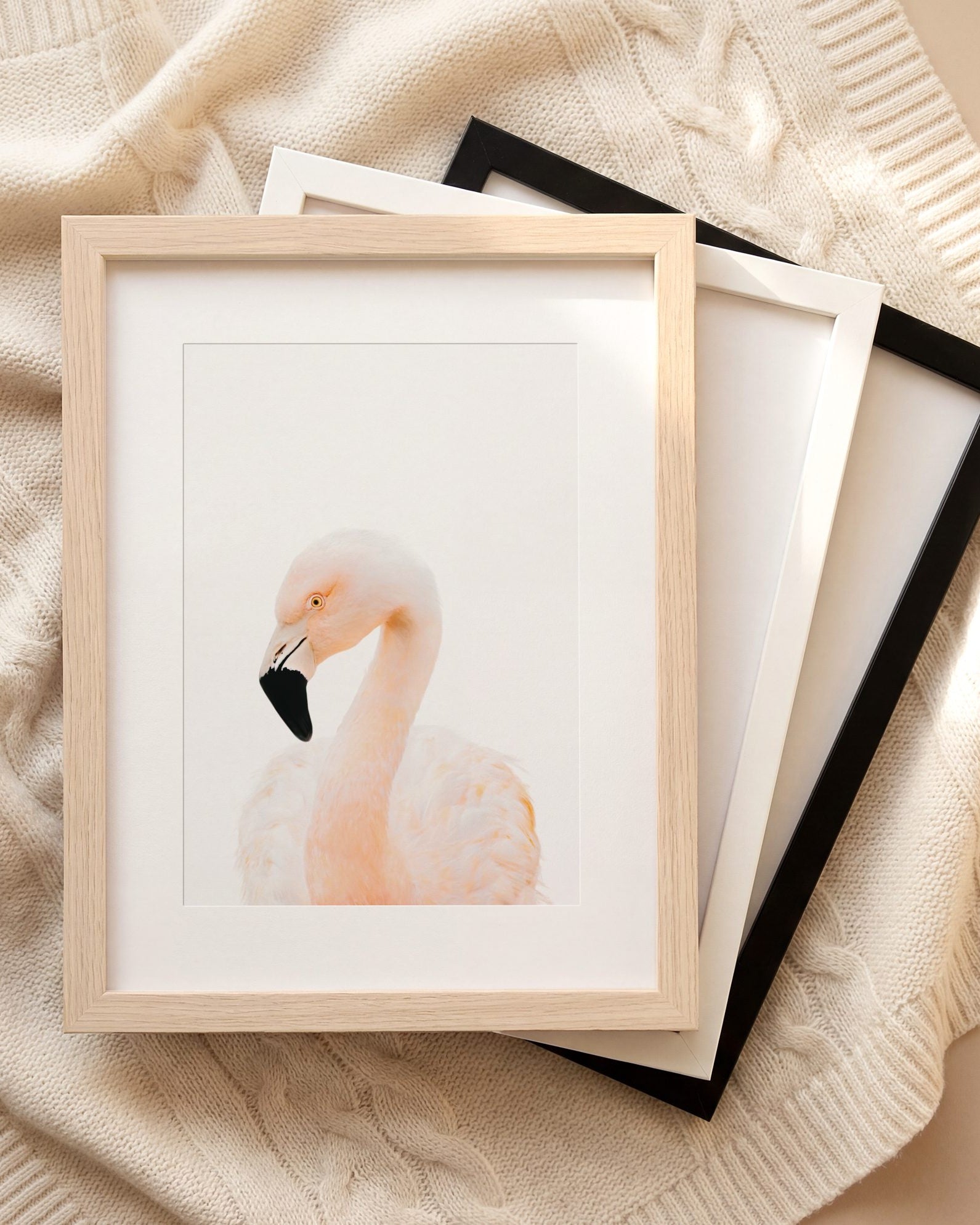 The Baby Animals 2026 Collection