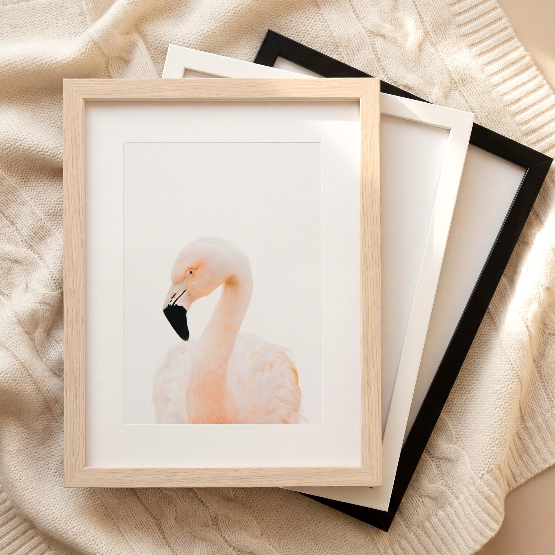 The Baby Animals 2026 Collection