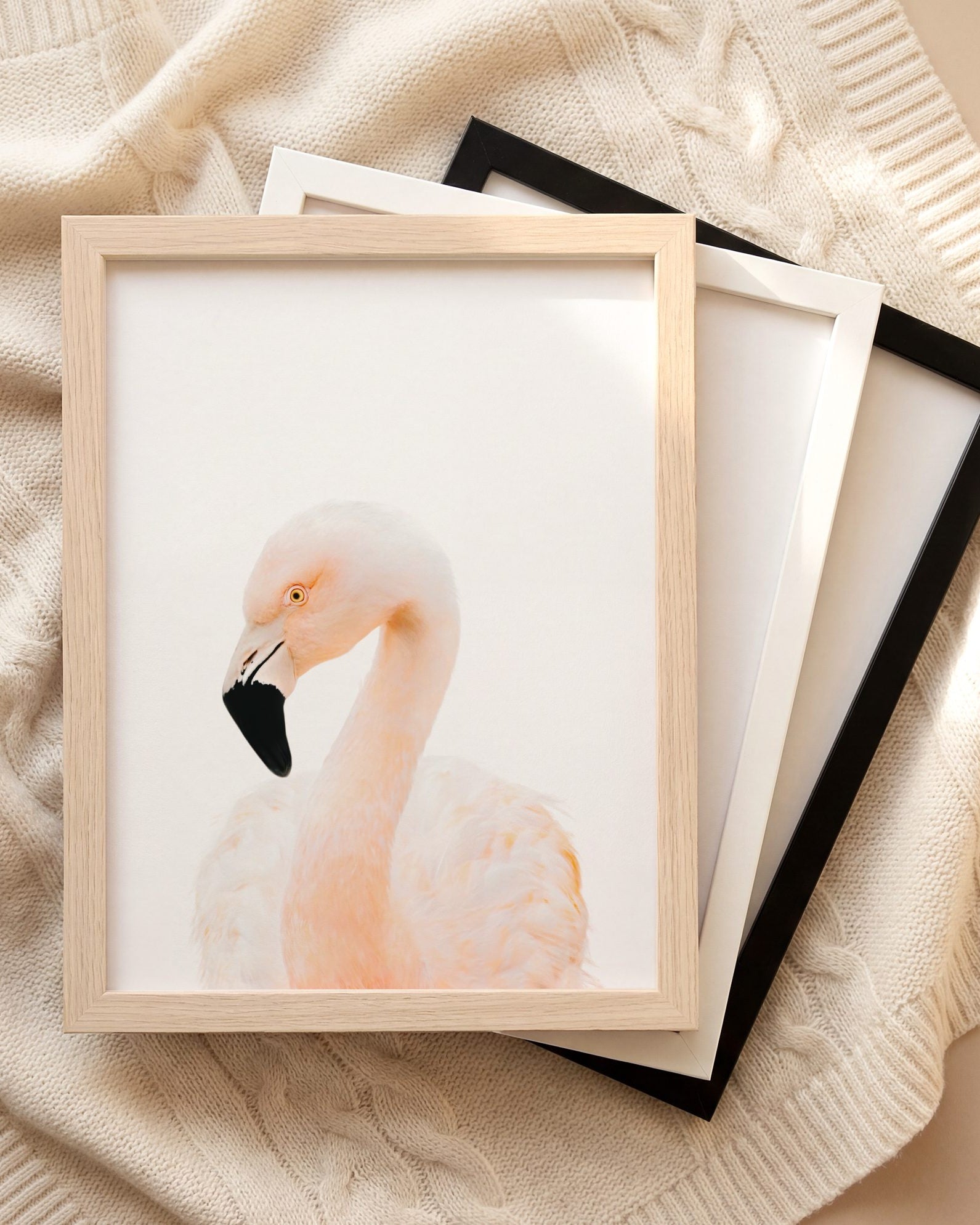 The Baby Animals 2026 Collection